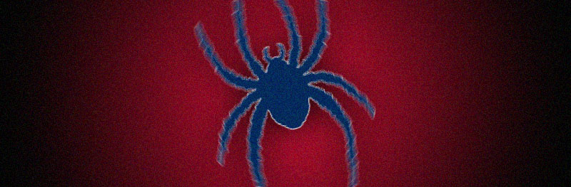Richmond Spiders Banner
