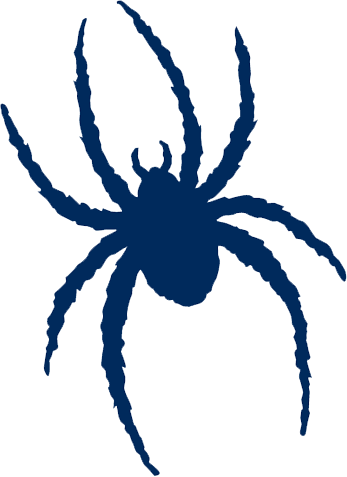 Richmond Spiders Logo!