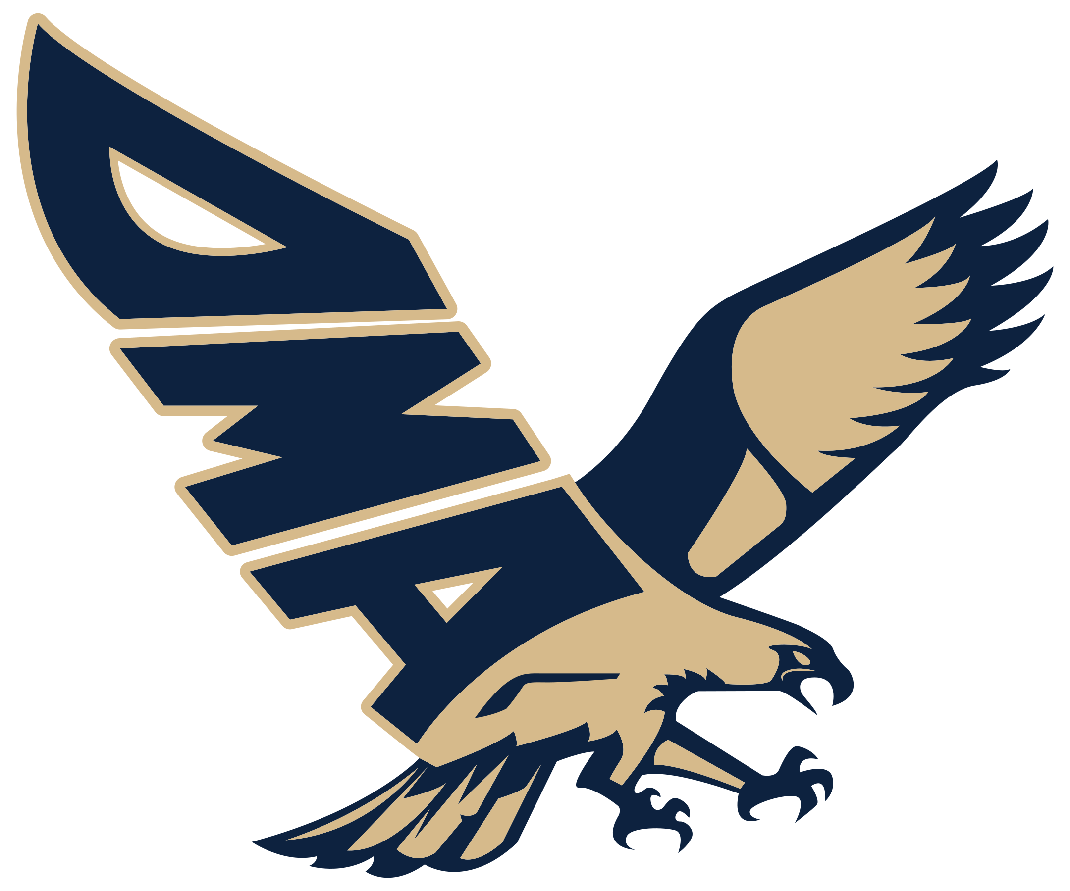 Delaware Military Academy Seahawks Football Logo