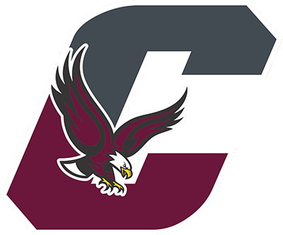 Chichester Eagles Football